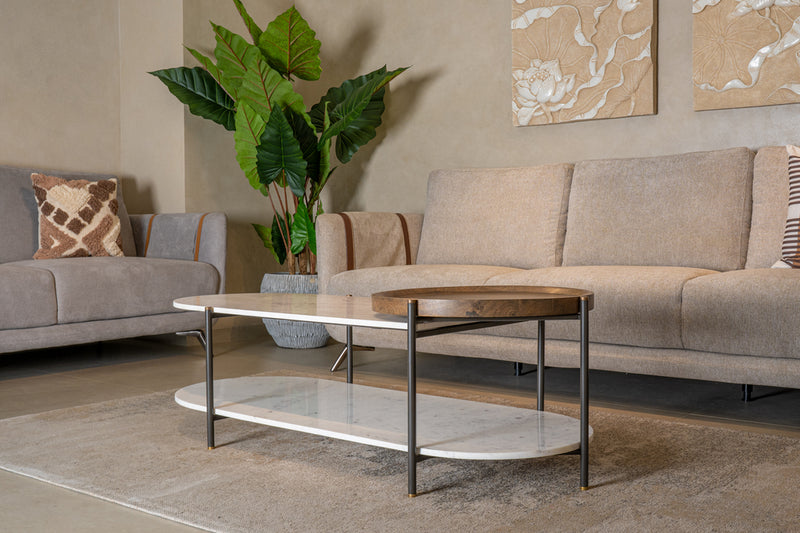 Amilia Coffee Table