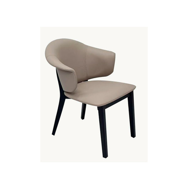 Aronia Dining Chair - Set Of 2