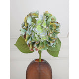 Autumn Hydrangea