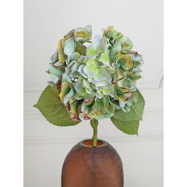 Autumn Hydrangea