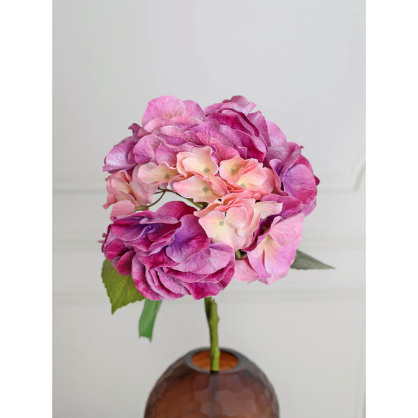 Autumn Hydrangea