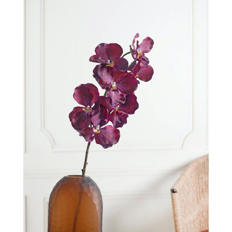 Orchid