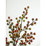 Alex Berries Cherry