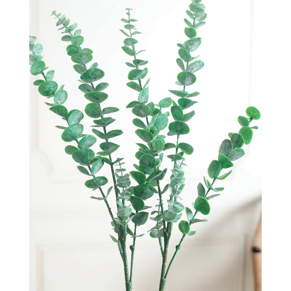 Eucalyptus Leaves Green