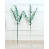 Eucalyptus Leaves Green