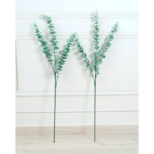 Eucalyptus Leaves Green