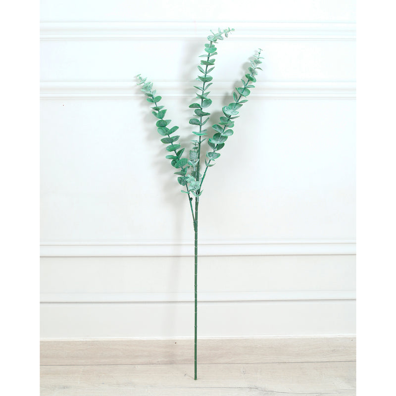 Eucalyptus Leaves Green