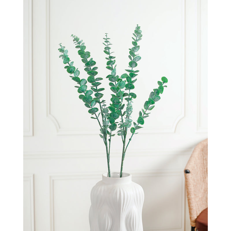 Eucalyptus Leaves Green