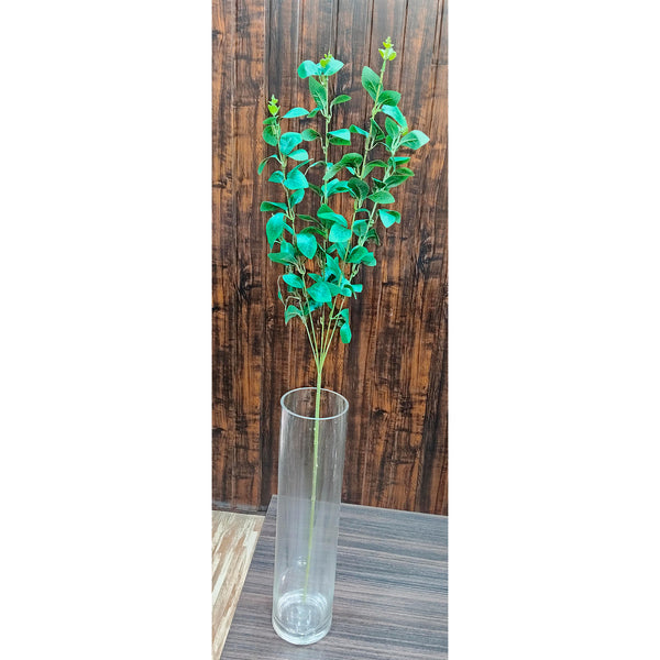 Fittonia Leaves Green