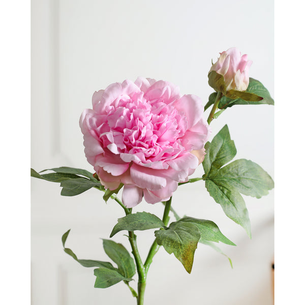 Peony Pink