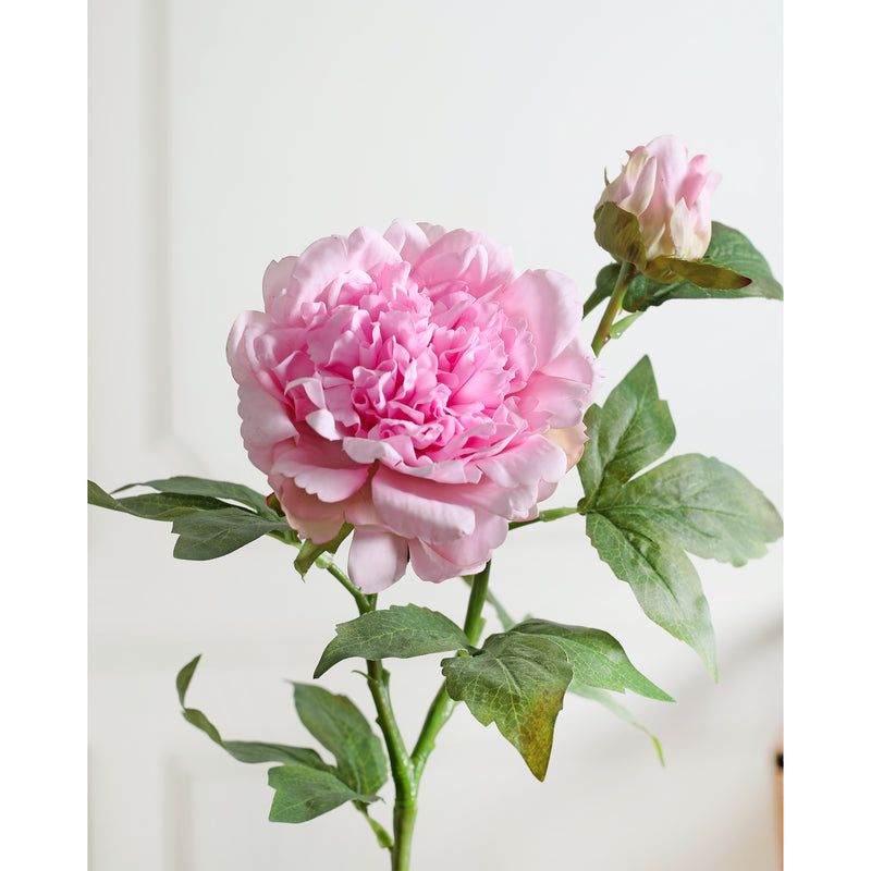 Peony Pink