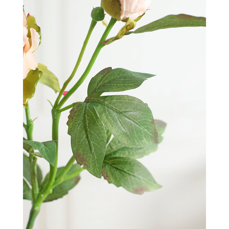 Peony Pink