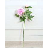 Peony Pink