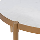 Orion Coffee Table