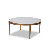 Orion Coffee Table